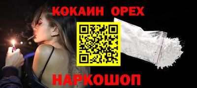 амф Сланцы