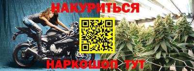 амф Сланцы