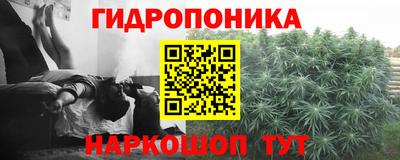 амф Сланцы