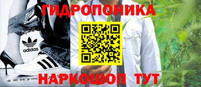 амф Сланцы
