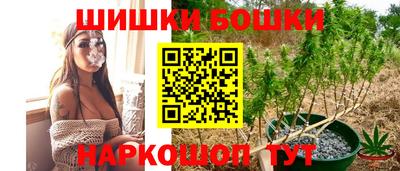 амф Сланцы