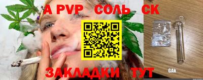 амф Сланцы