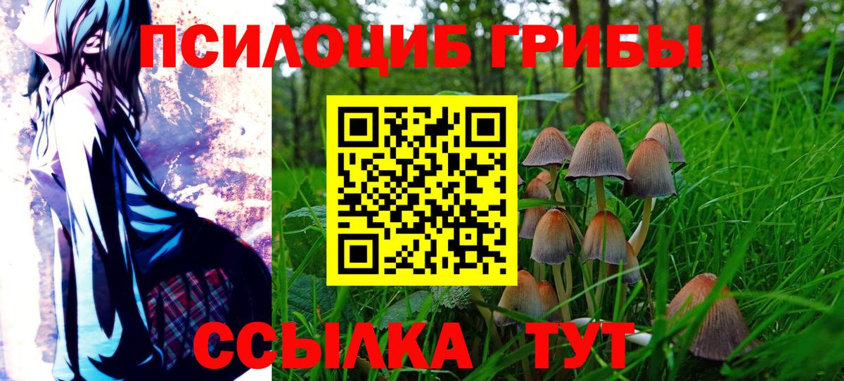 Псилоцибиновые грибы мицелий  Псилоцибиновые грибы мицелий  сколько стоит  Вход с VPN  Оренбург 